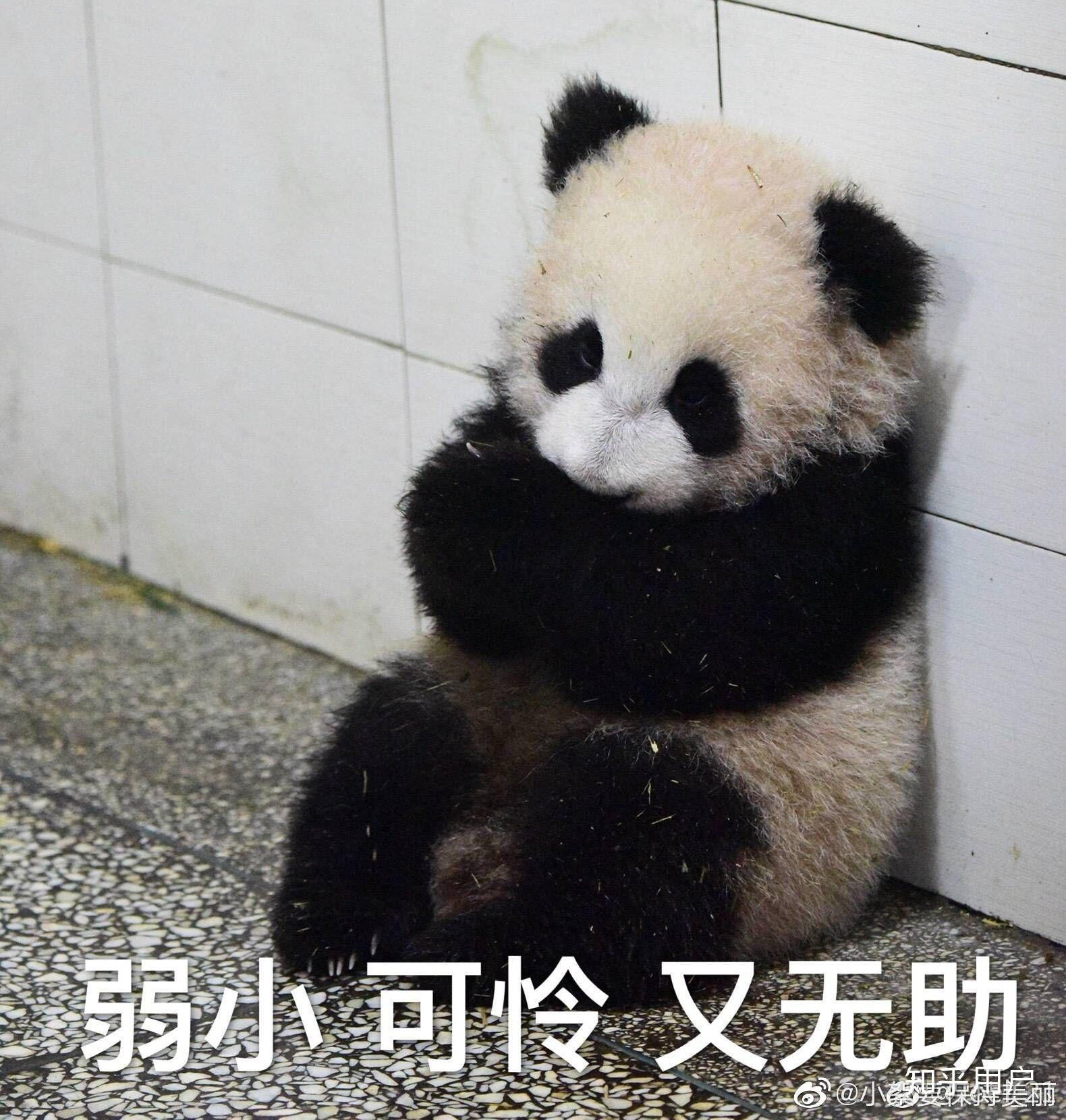 如何评价周杰伦2019916最新单曲说好不哭