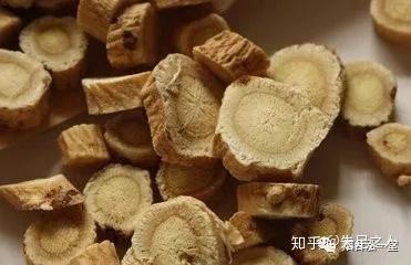 党参的功效与作用及禁忌和食用方法分别是怎样的呢? - 知乎