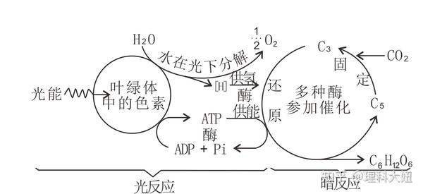 有机物和无机物的定义 有机物和无机物的区别表格 有机物无机物本质区别 有机物和无机物的定义 有机物和无机物的区别表格 有机物无机物本质区别