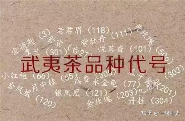 史上最全最清晰的武夷岩茶品种录，代号105、204、305是什么？ - 知乎