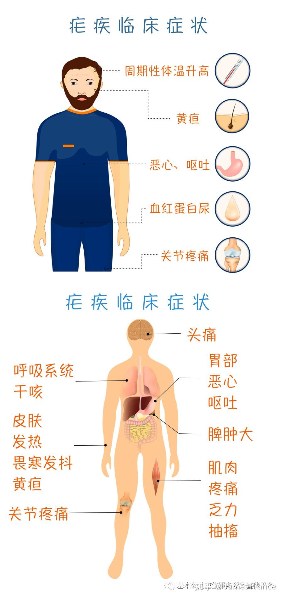 疟疾的拼音图片