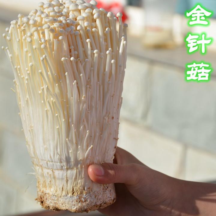 v2-352ce76155f467ff348dd5de1cec21b6_hd.jpg?source=12a79843