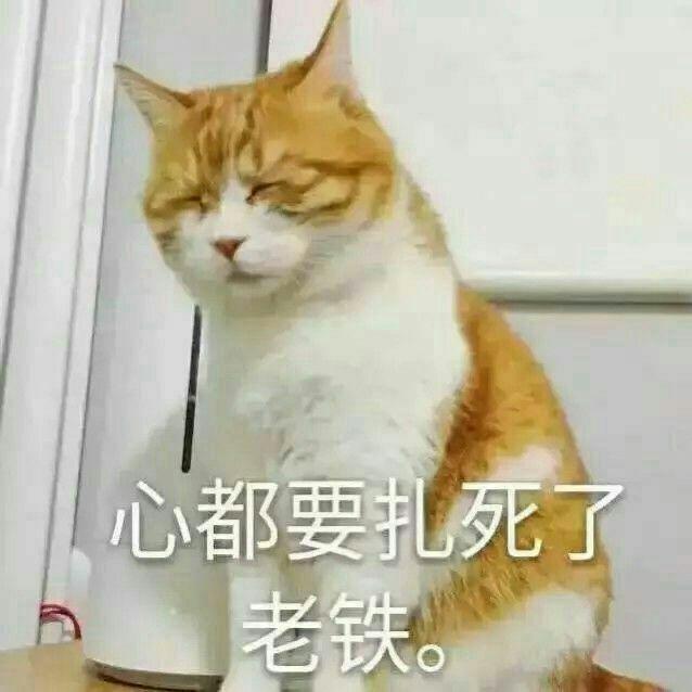 v2-352f8f8fc341910fe626adf06263e235_r.jpg