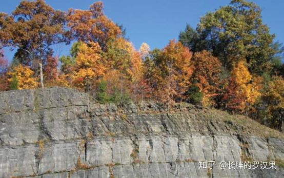 6.生物成巖