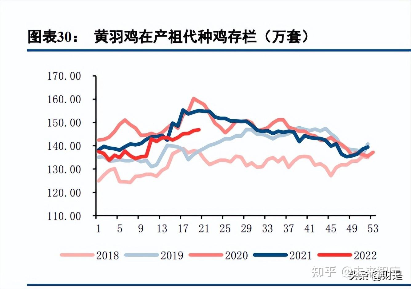 禽链什么意思