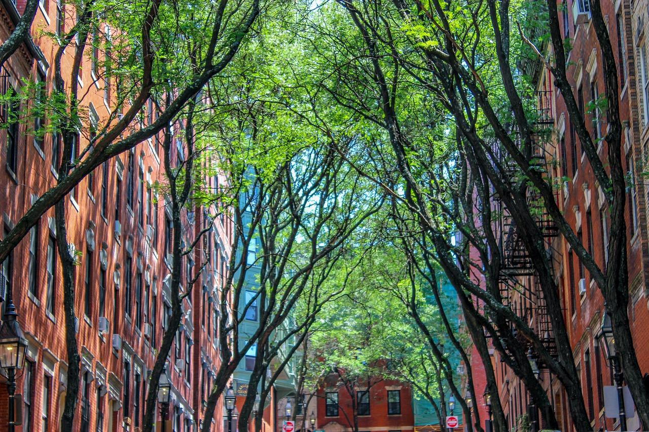 2. 风扇降温厨房