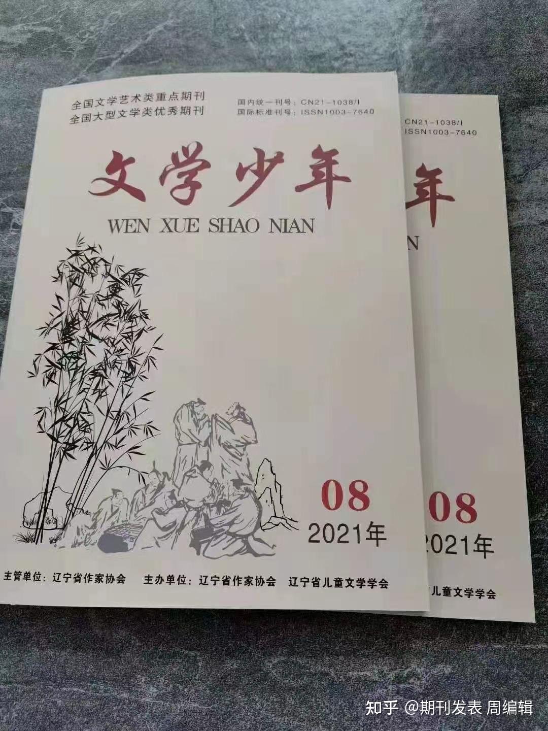 文学少年旬刊维普收录2500字符现21年28期10月上旬版面8月10号出刊