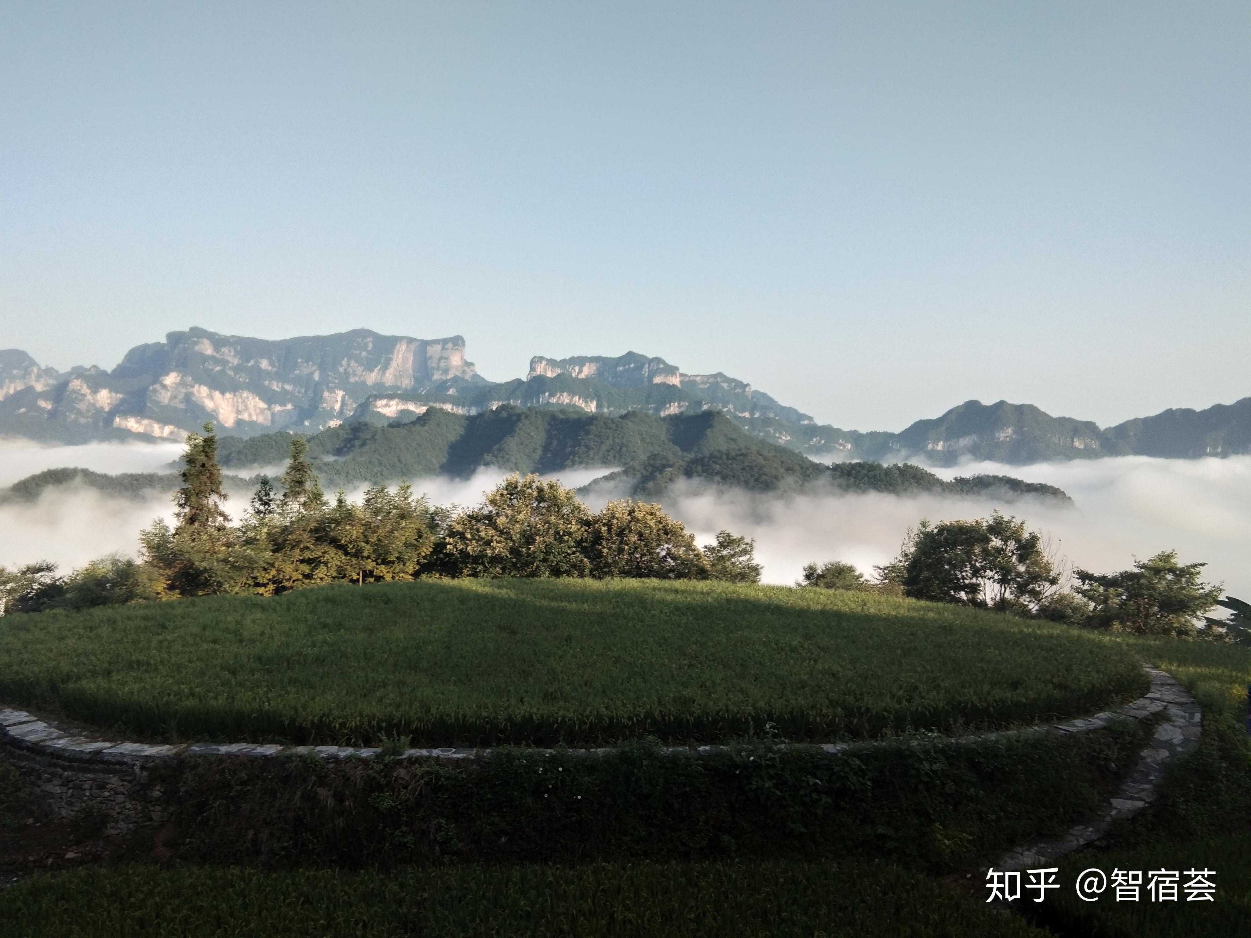 2019張家界旅遊新推薦養在深閨人未識張家界天門山後花園雲上田園