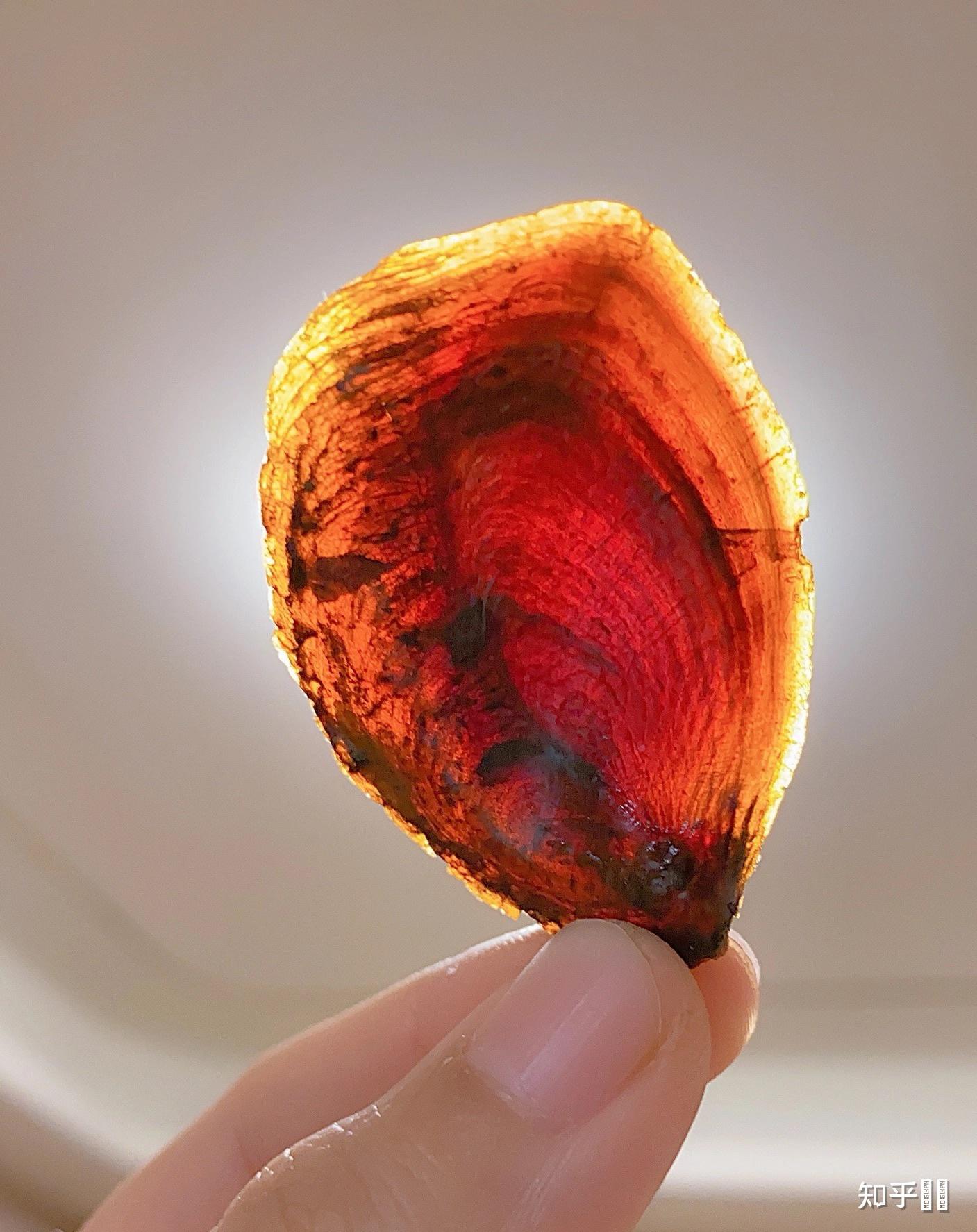 有炮制过甲香的吗炮制后真的会变透明吗