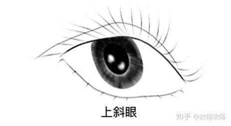 v2-356f039b6e751adff3c16fe114d47d68_r.jpg