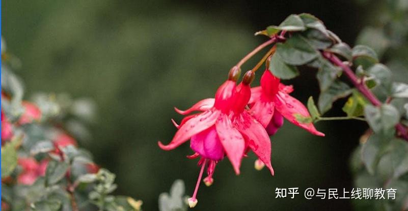 玄学么?九紫离火运--在焦虑与机遇中,突围时代的生存与成长之道 - 知乎