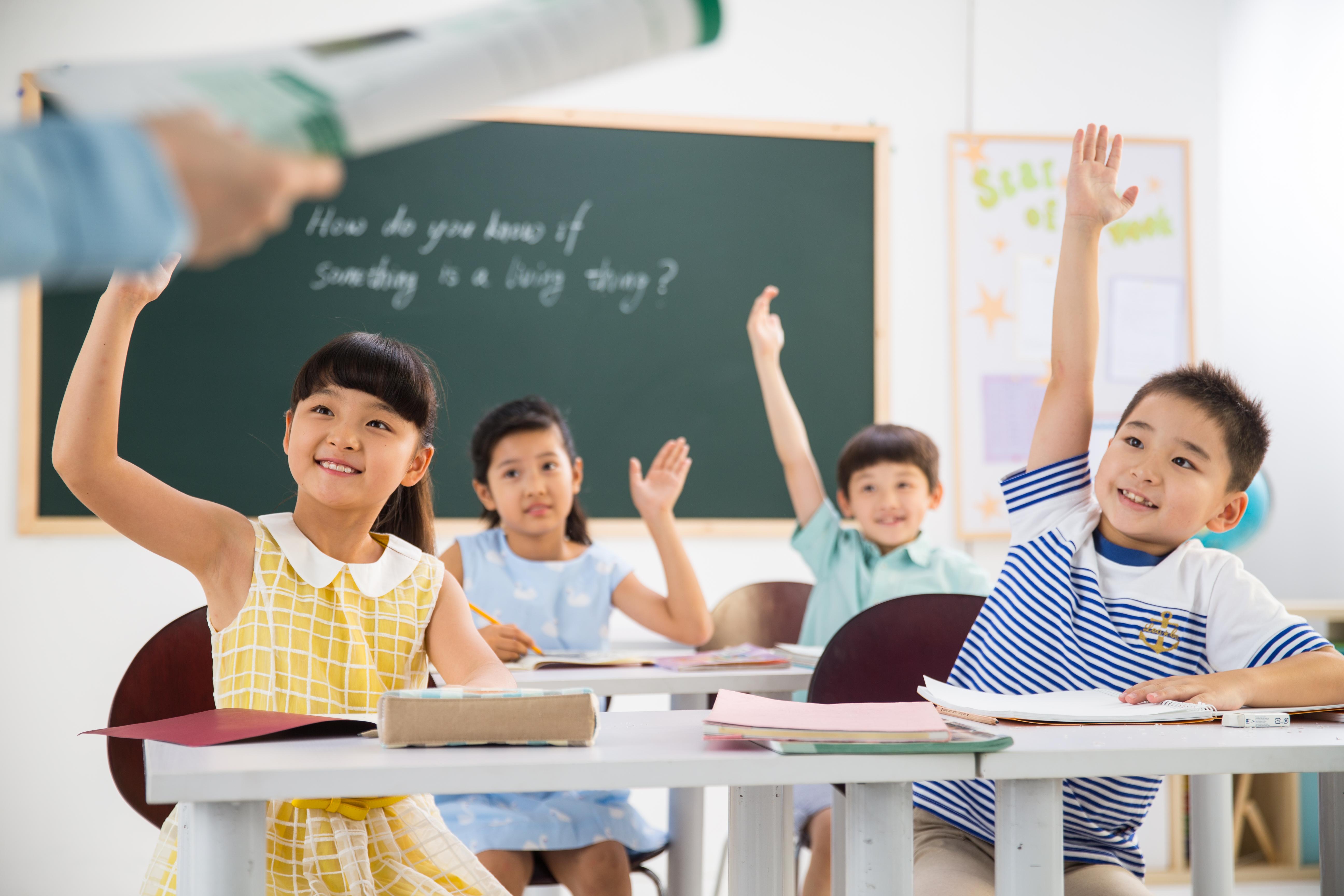 0基础入门编程课,能学到什么? - 知乎