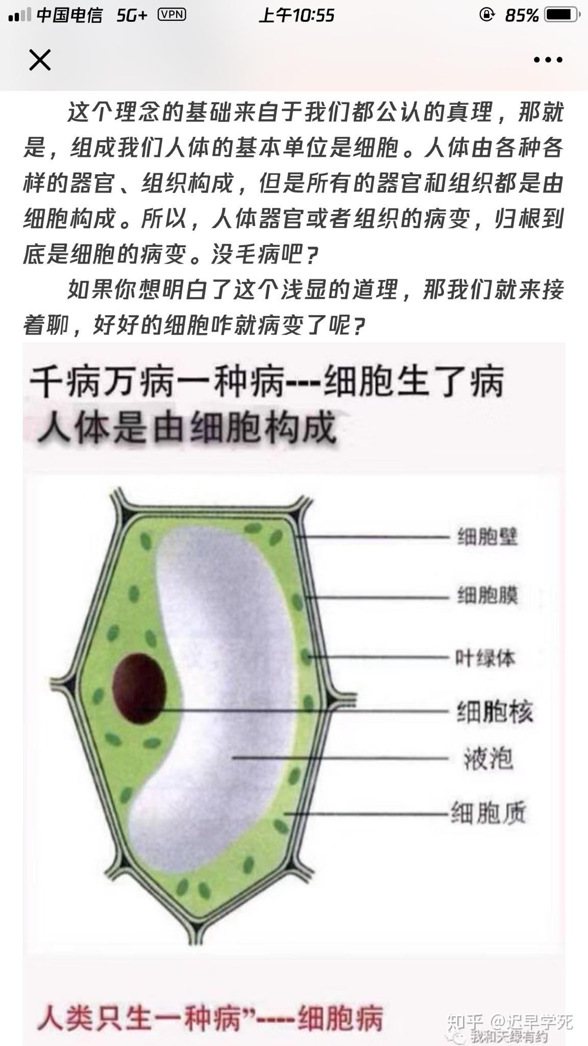 重症患者能用天绿元素活力滴饮吗
