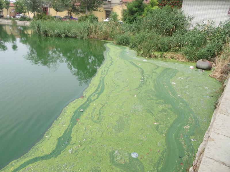 v2-3578a78c2cd48ac33d495c87c02d75e4_1440w.jpg?source=172ae18b