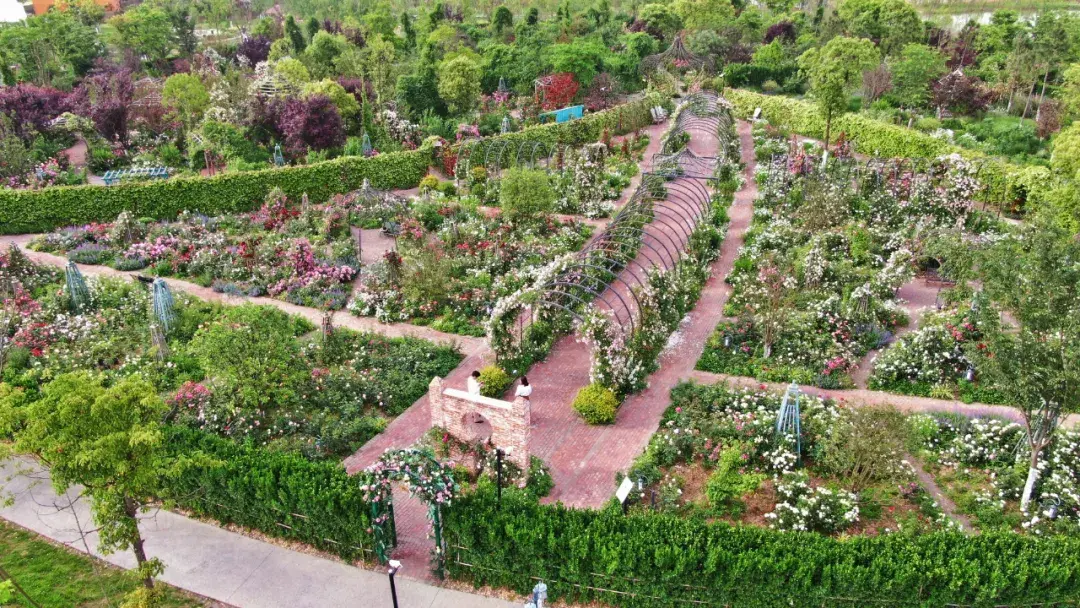 二木设计的花园祥源星球花园寻找童趣的梦幻王国