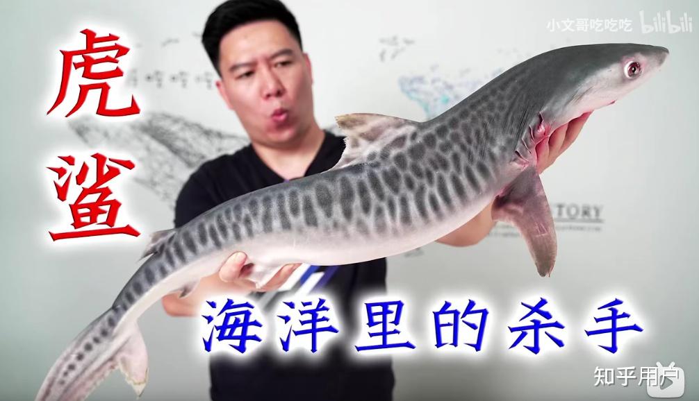 如何看待b站up主小文哥吃吃吃