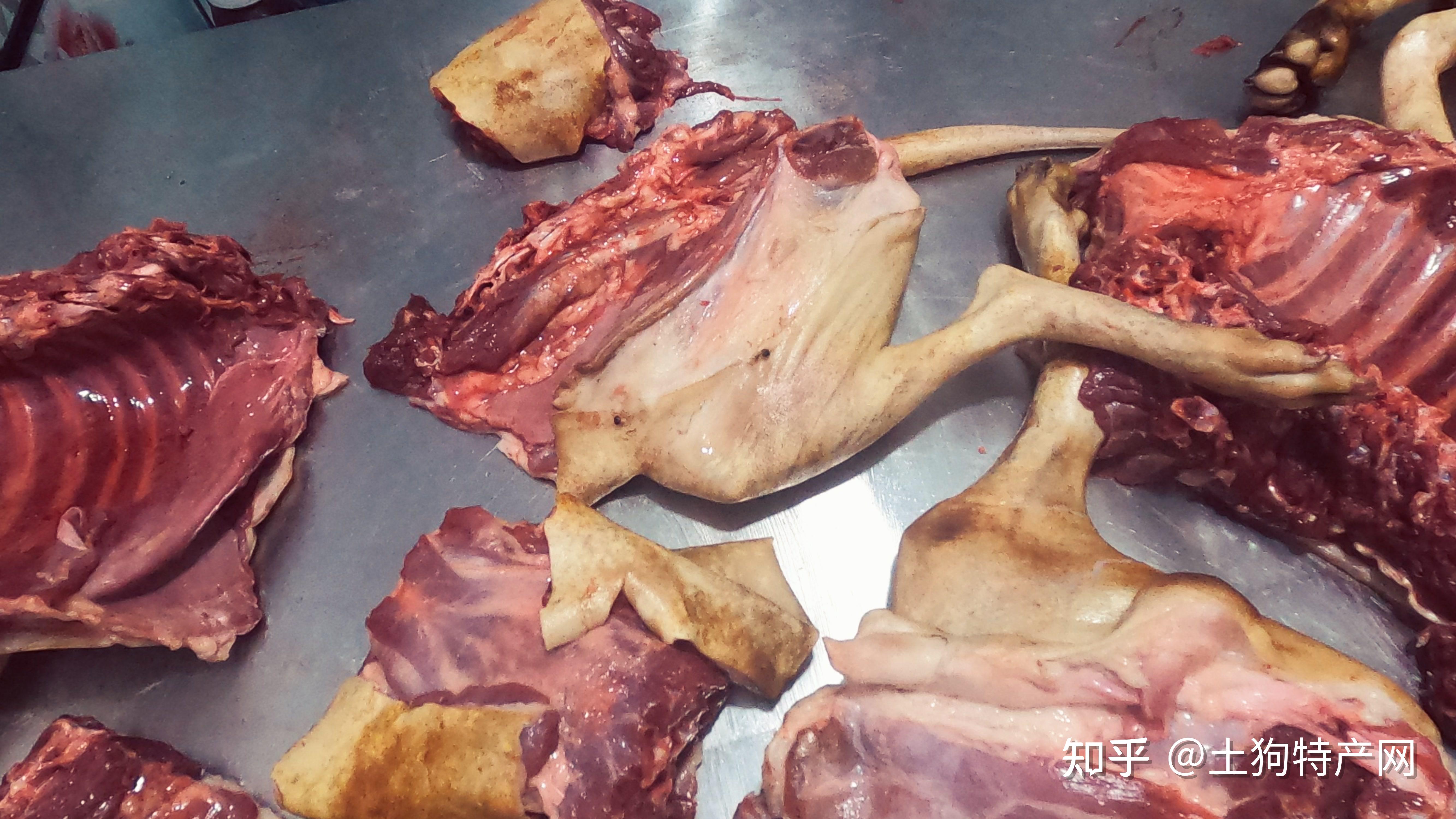 合肥有卖生狗肉的吗,多少一斤? - 知乎