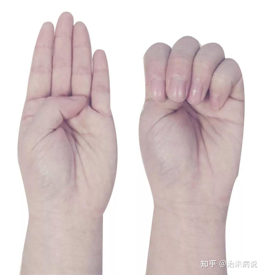 握固,补气养生,治未病,得健康,原理来了 - 知乎