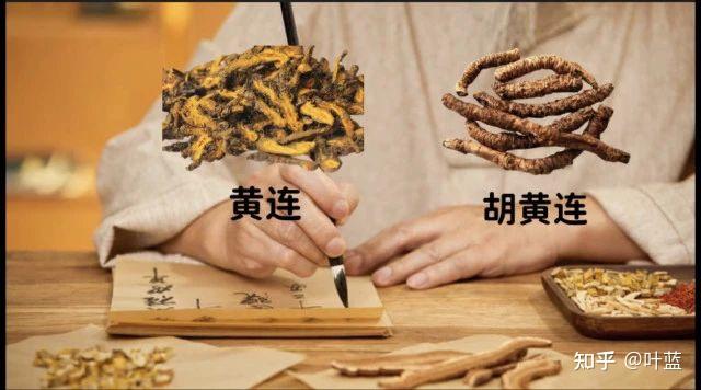 胡黄连和黄连在药性上有哪些区别? - 知乎