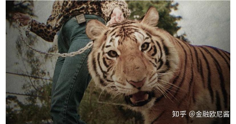 如何评价纪录片养虎为患tigerking
