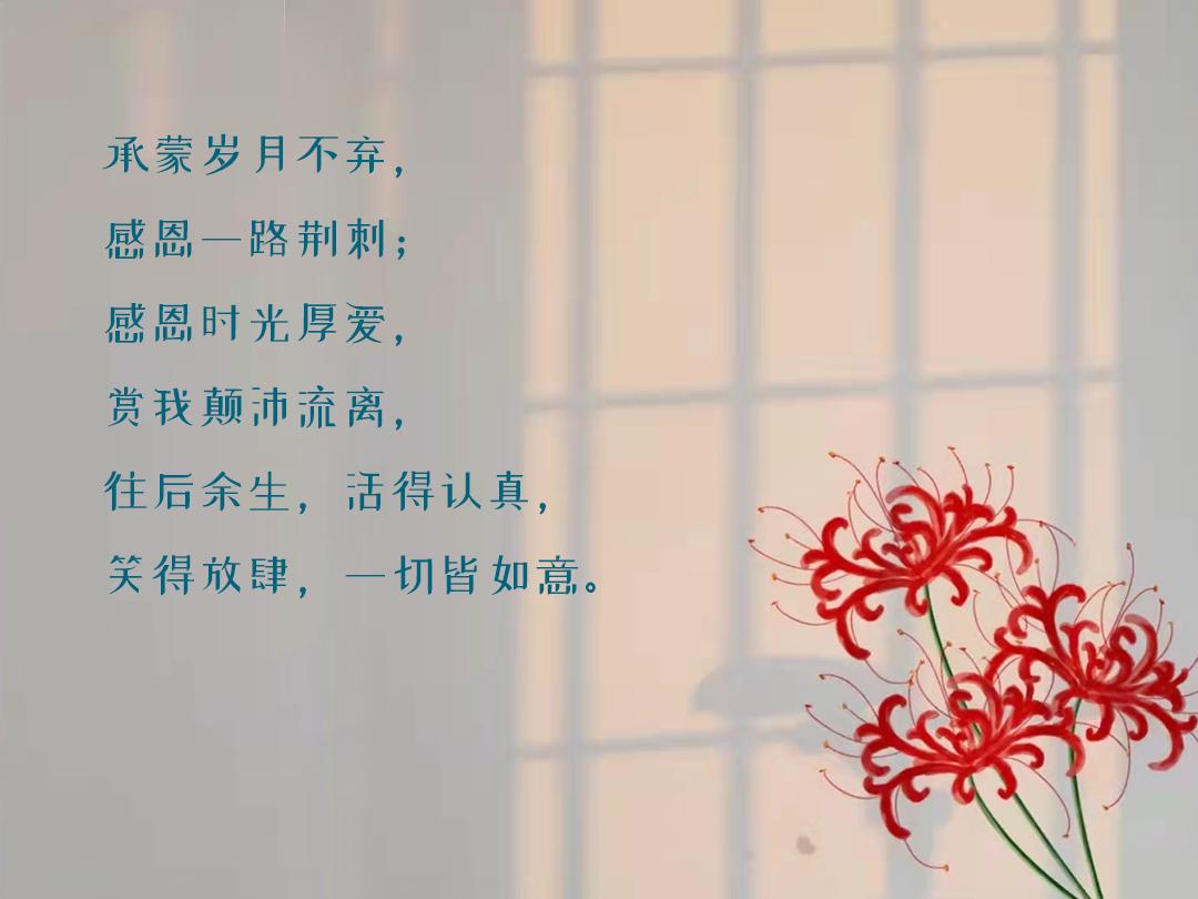 15,承蒙岁月不弃,感恩一路荆棘;感恩时光厚爱,赏我颠沛流离,往后余生