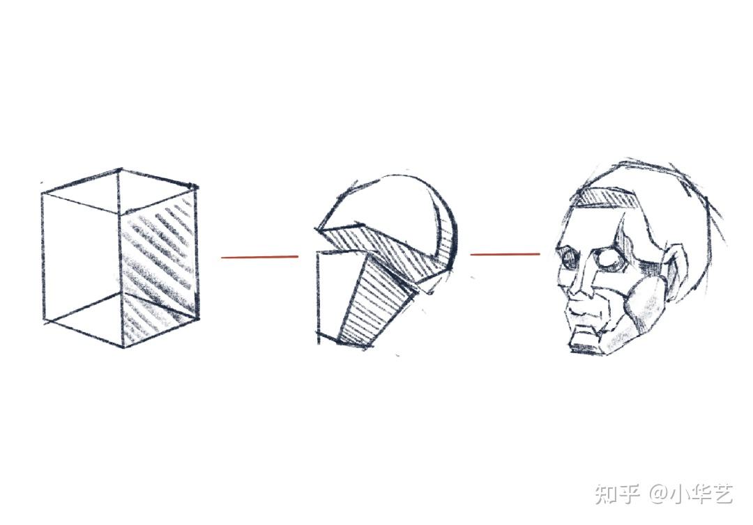 掌握头部解剖结构