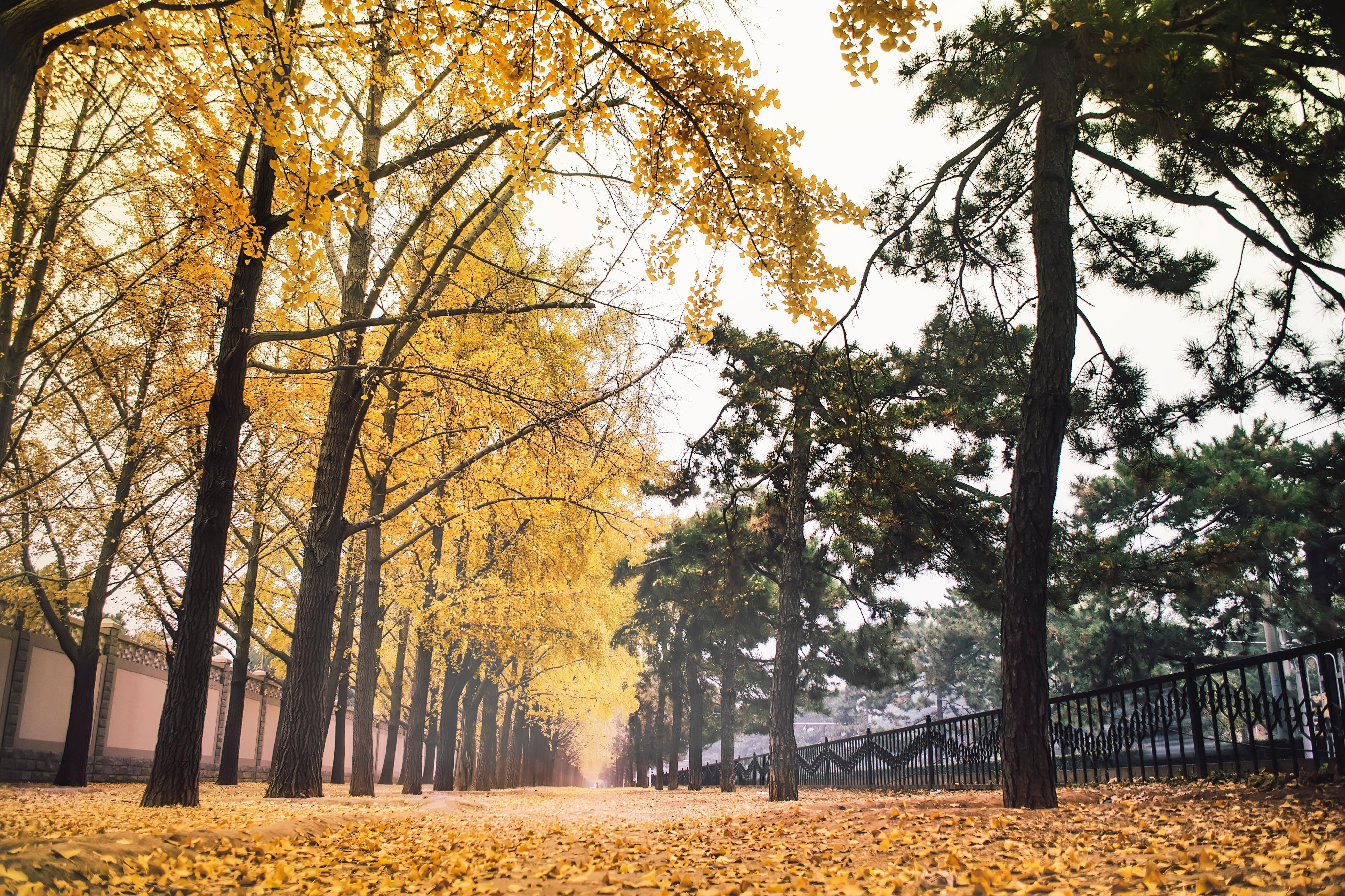秋季户外拍摄风景摄影师摄影图高清摄影大图-千库网