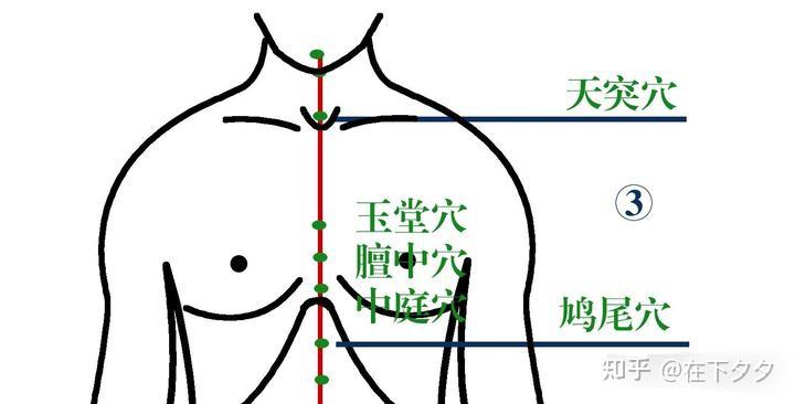 人纪系列——09针灸 鸠尾 天突 膻中 廉泉 承浆穴 - 知乎