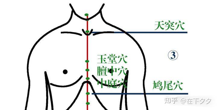 口腔鸠尾图片图片