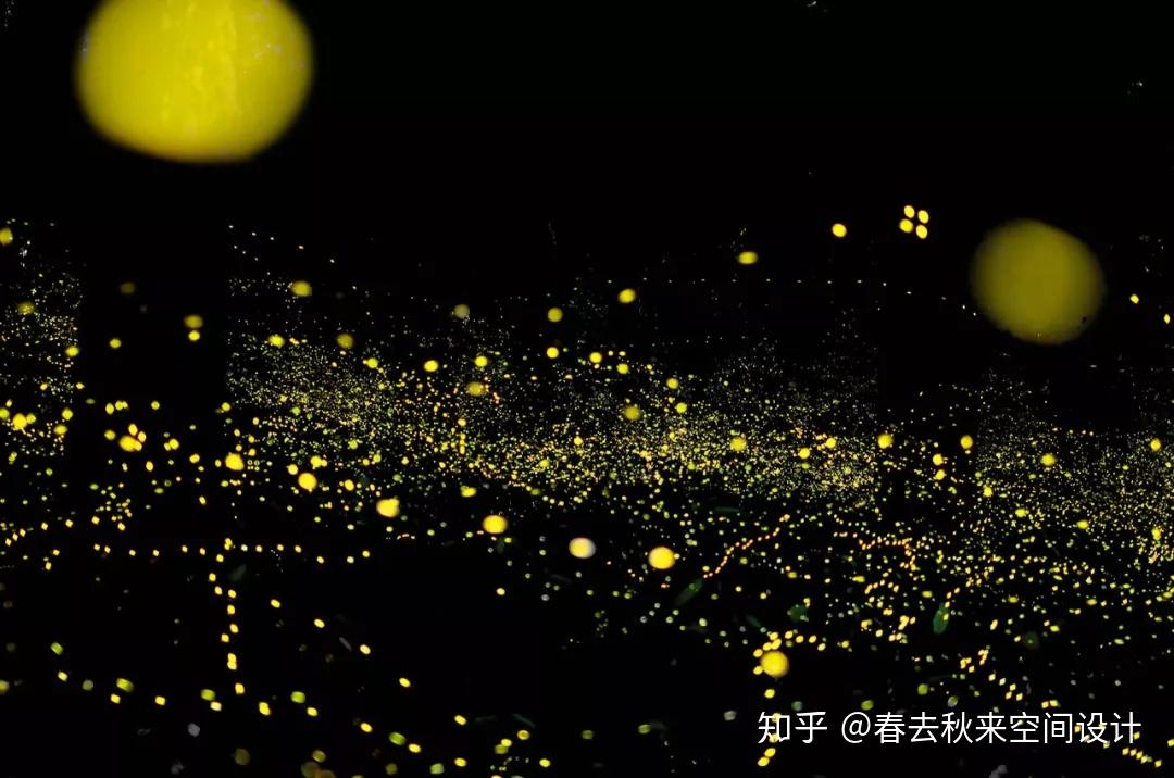 动客健身来自荧光绿的轻轻耳语