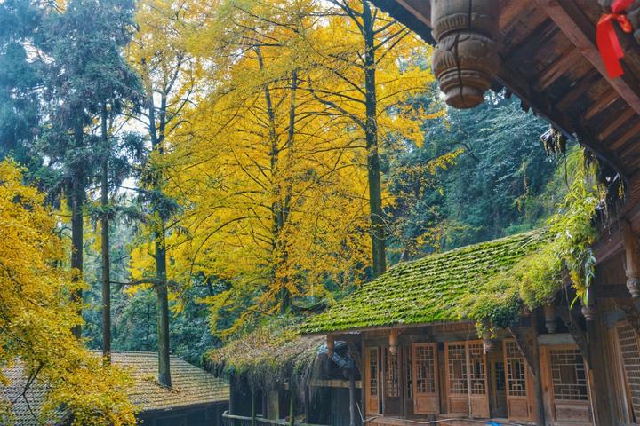 为爱丈人山 丹梯近幽意 ——记中国道教四大名山青城山 - 知乎