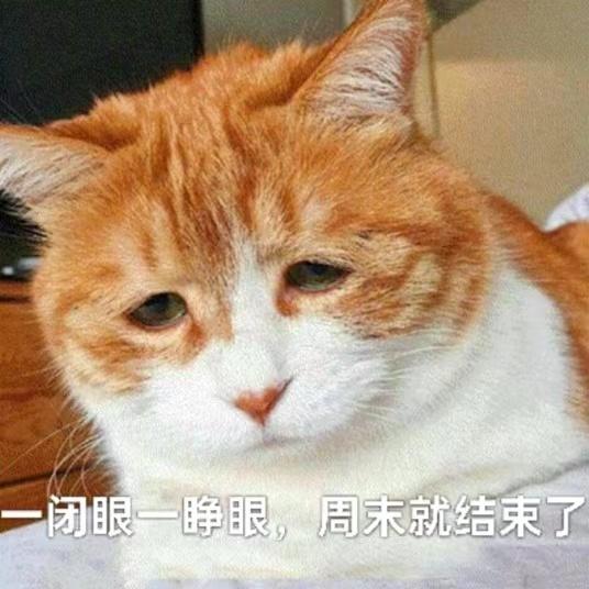 v2-35e788ae29be0d7a3e6efba55c06f7bc_r.jpg