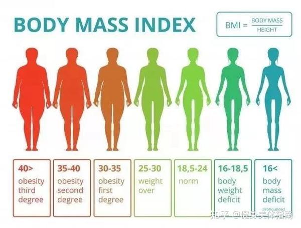 年最新男女标准体重表曝光 你达到标准了吗 知乎