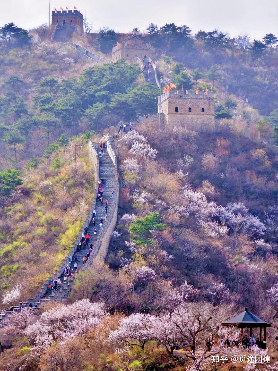 黄花城水长城桃花图片