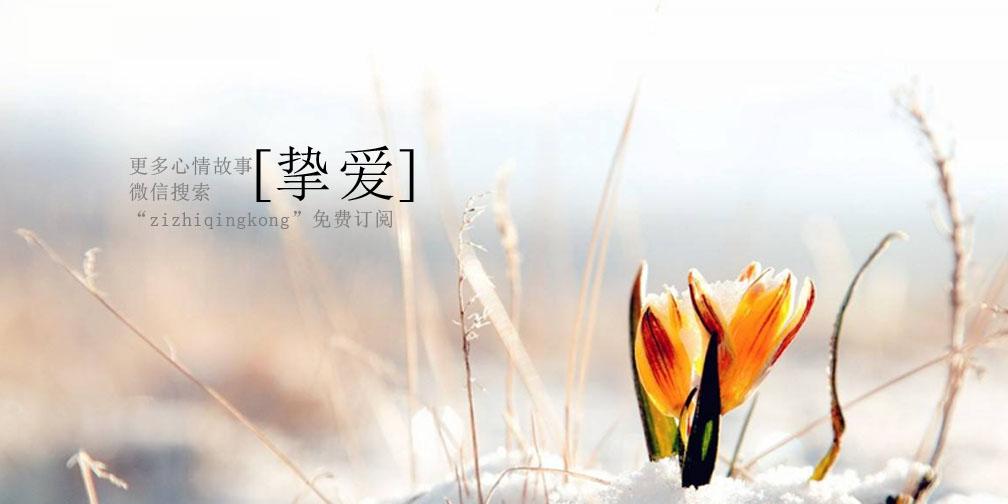 为什么执迷不悟 v2-35fff953d7930652851a65fc279840f4_r.jpg