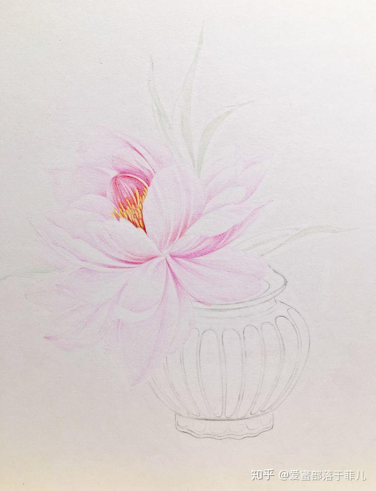 成人美术 | 详细讲解,彩铅入门教程,复古小花瓶中的芍药