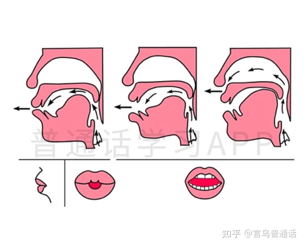 韵母篇 | 前后鼻音不分,怎么办?5步帮你纠音 - 知乎