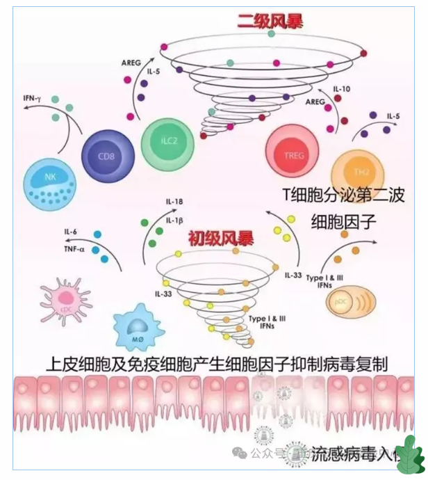 有钱人的续命神针 - 知乎