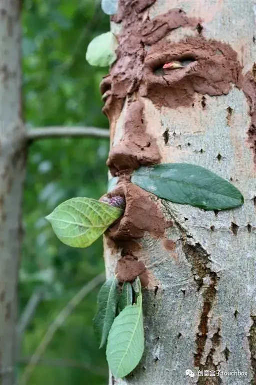 远离手机和ipad大自然才是孩子最好的美学教室