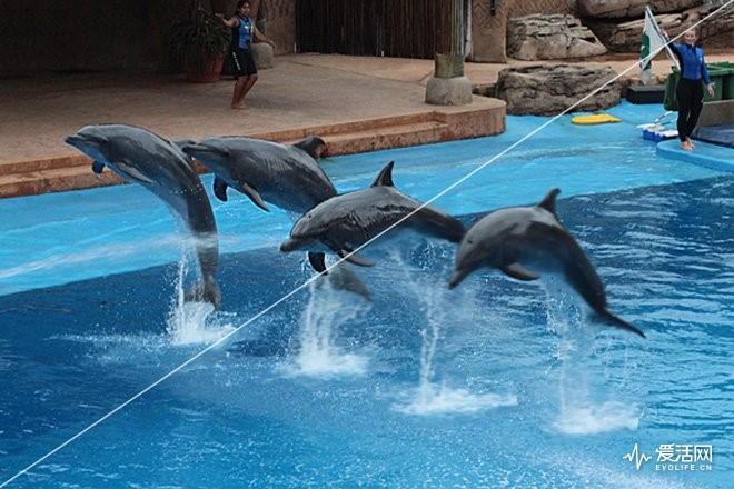 笔记本屏幕刷新率超过120Hz是什么样的体验?