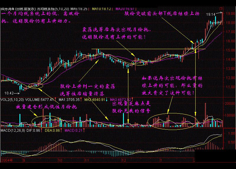 价托形态图片