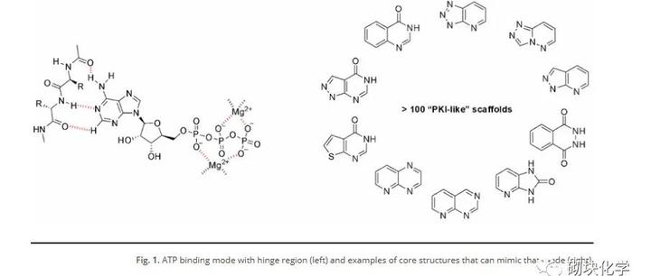 基于药物的设计——高质量分子库的重要性(25)Hinge Binders Library - 知乎
