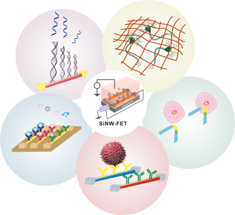 YYVIP易游鞋柜行业现状与发展趋势分析