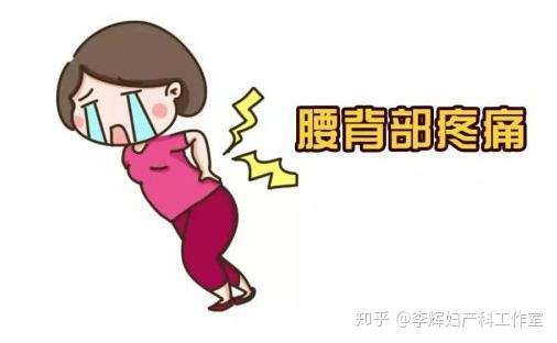 产后大肚腩回不去可能是腹直肌分离了