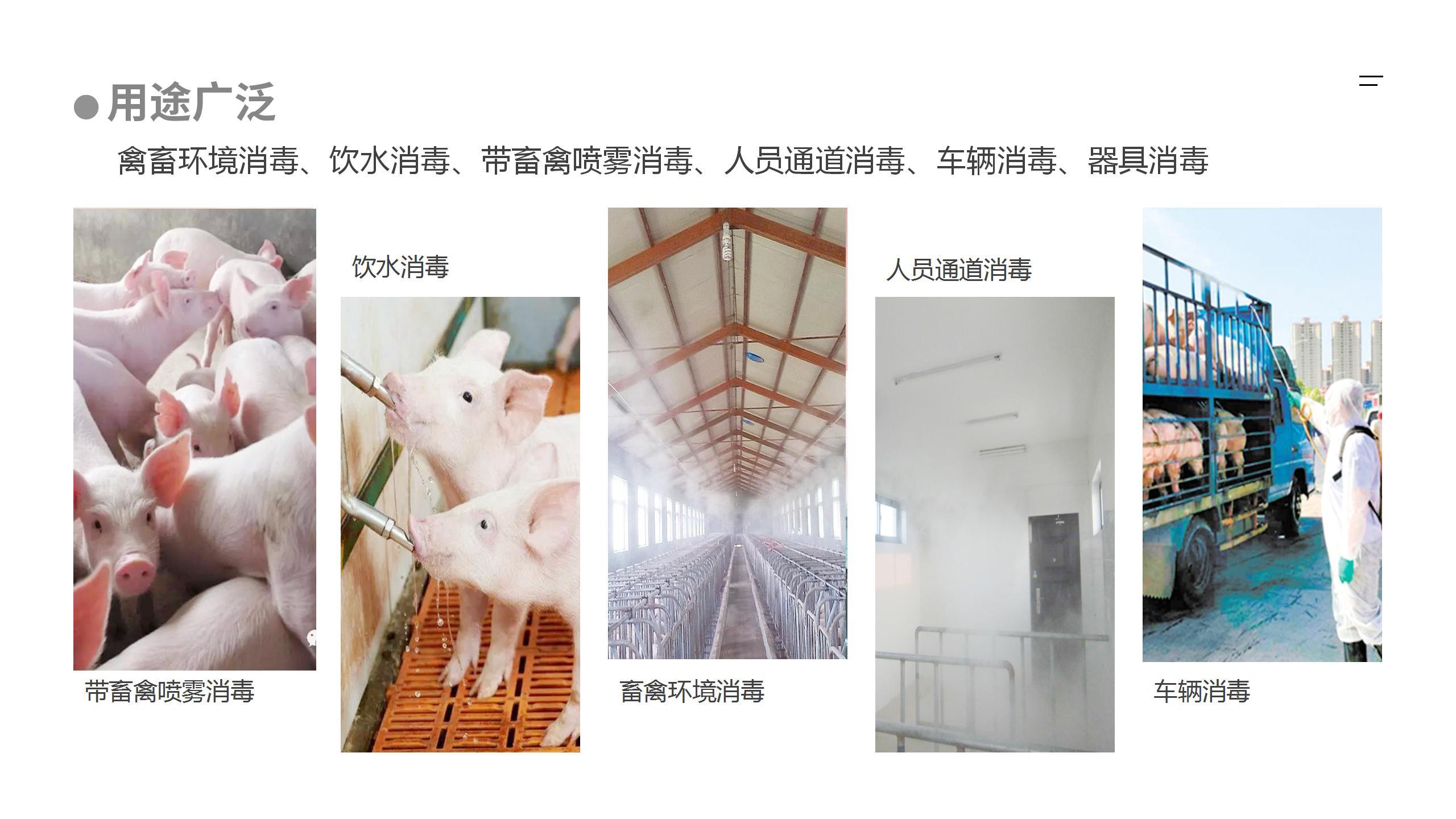 大型养猪场猪舍,图,建筑(第9页)_大山谷图库