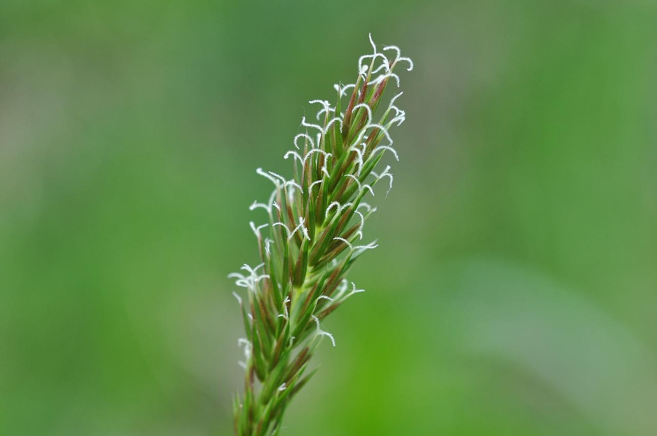 5. 造型牛角梳时尚