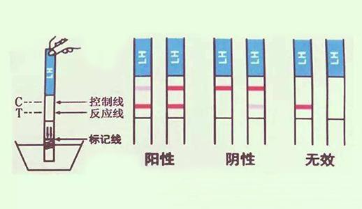 三,尿排卵试纸检测从月经来潮的第10天开始,每天测一次,直到强阳性.
