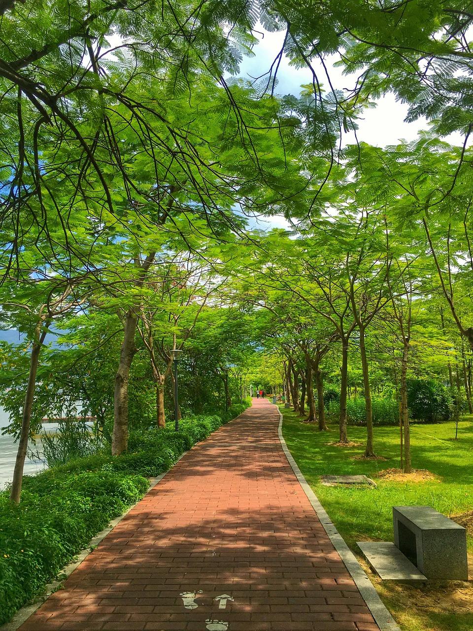 抚州梦湖投资多少