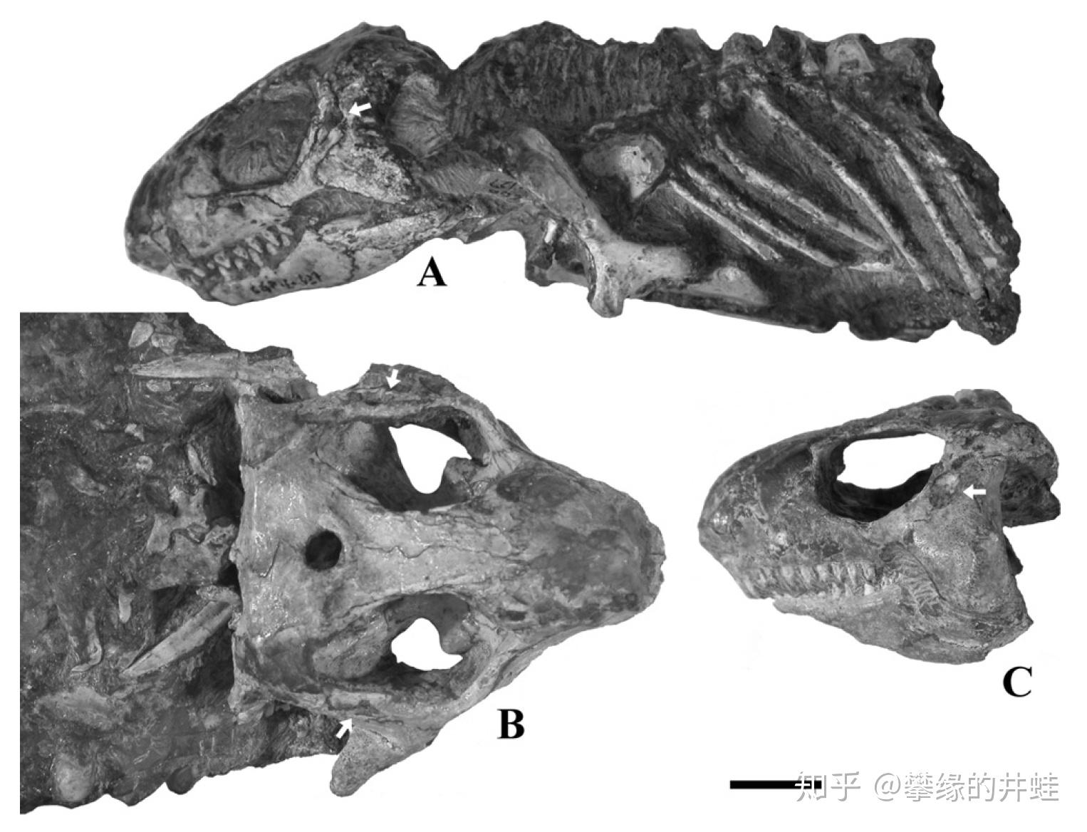 第二百五十五回 偏师劲旅（终）：师老兵疲 - 知乎