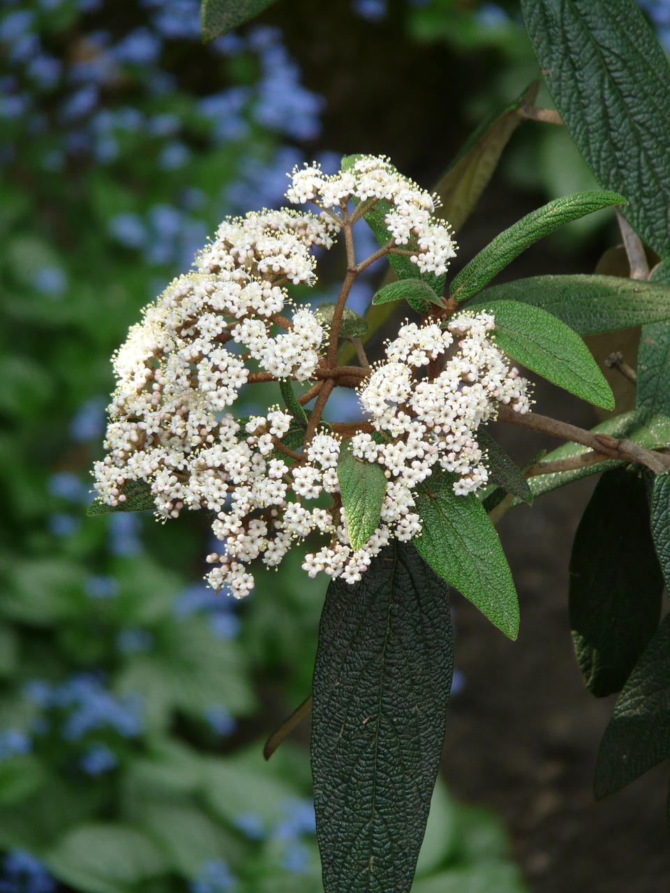 3. 细节描绘方法